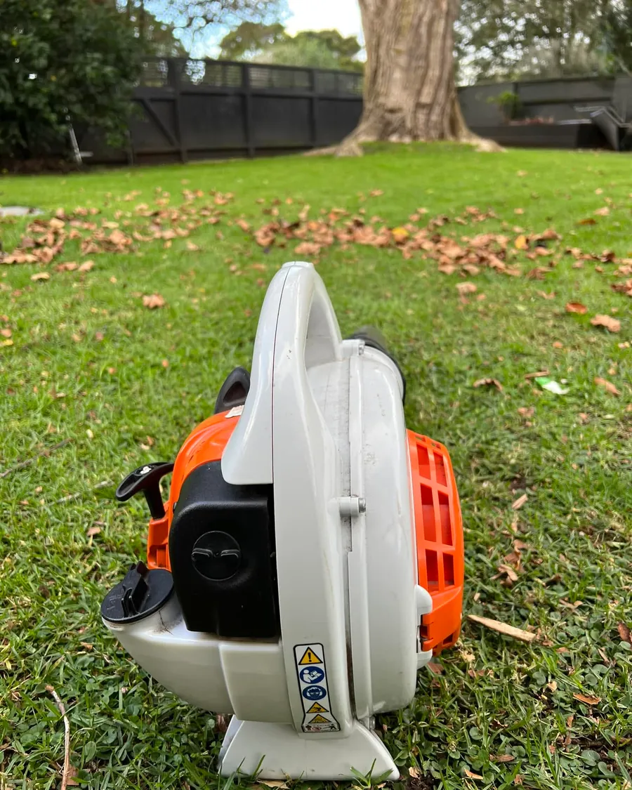 Stihl blower on a lawn scattered with autumn leaves under a large tree on the Hibiscus Coast